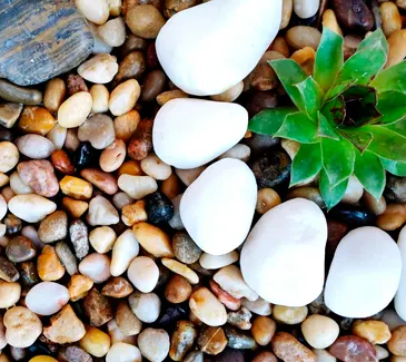 First Call Building & Garden Supplies